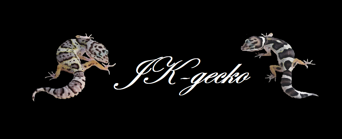 JK-Gecko